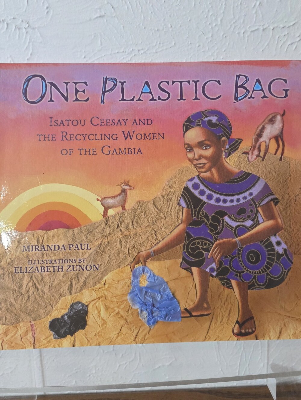 One Plastic Bag: Isatou Ceesay and the Recycling Women of the Gambia